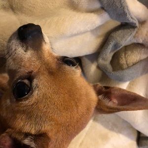 Meet your Posher, Deirdre